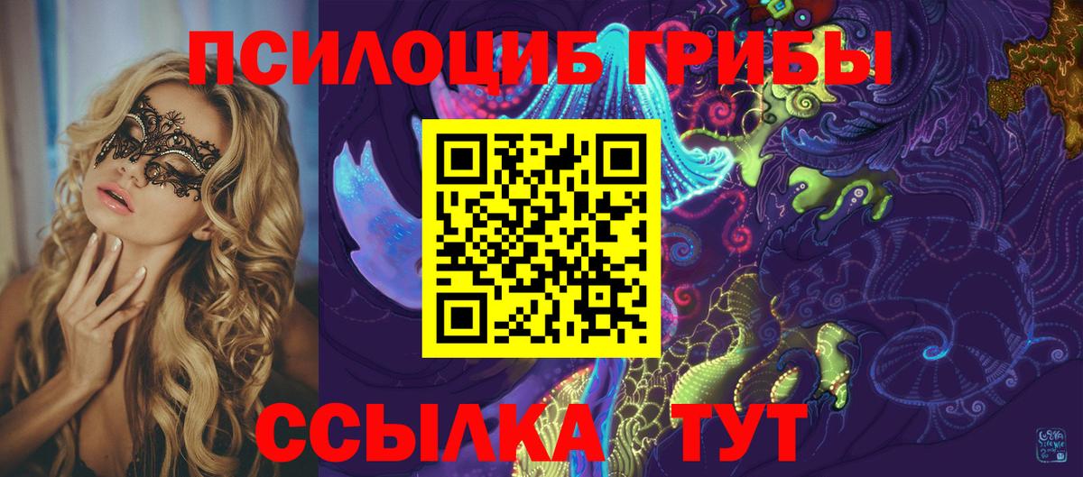 Сокол  Псилоцибиновые грибы прущие грибы  где продают наркотики  Галлюциногенные грибы Psilocybe  Вход с VPN 