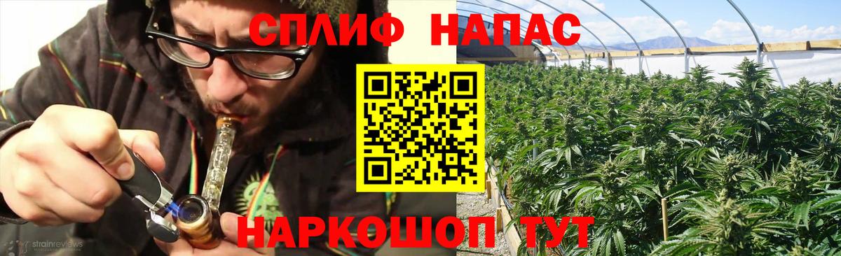 Сокол  Конопля Bruce Banner  Марихуана Amnesia  Каннабис сатива  Вход с VPN 